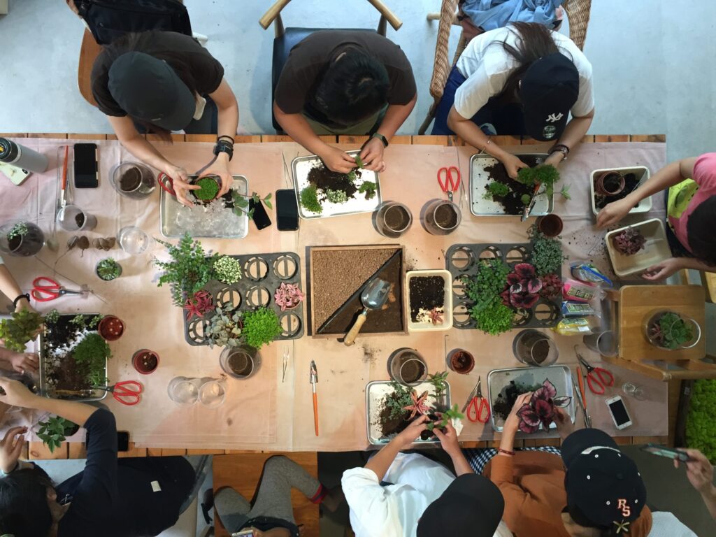 Terrarium Workshop